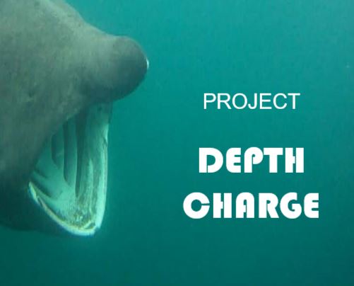 Inishowen Basking Shark Study Group